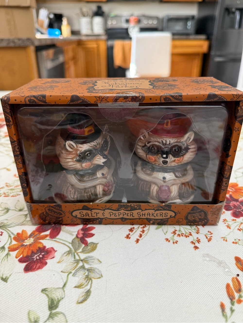 Johanna Parker Raccoon Salt & Pepper Shaker Set